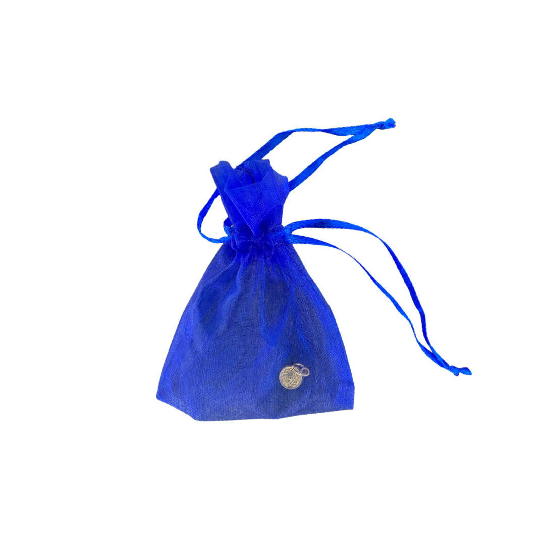 Globe Charm